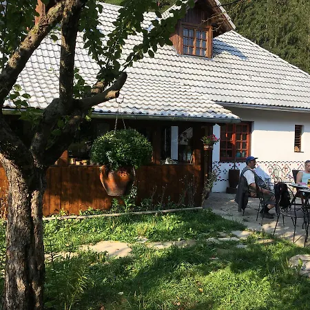 Gospodaria Lui Nea Ion * Vama Buzaului