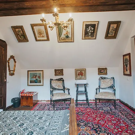 Gospodaria Lui Nea Ion Vama Buzaului